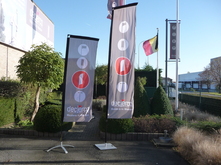 Beachflags Cruiser Square