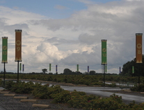 dsc6244.JPG