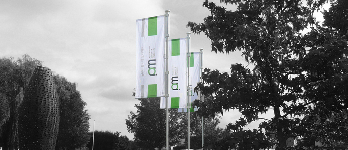 Optimast